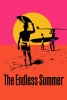 L'été sans fin (The Endless Summer)
