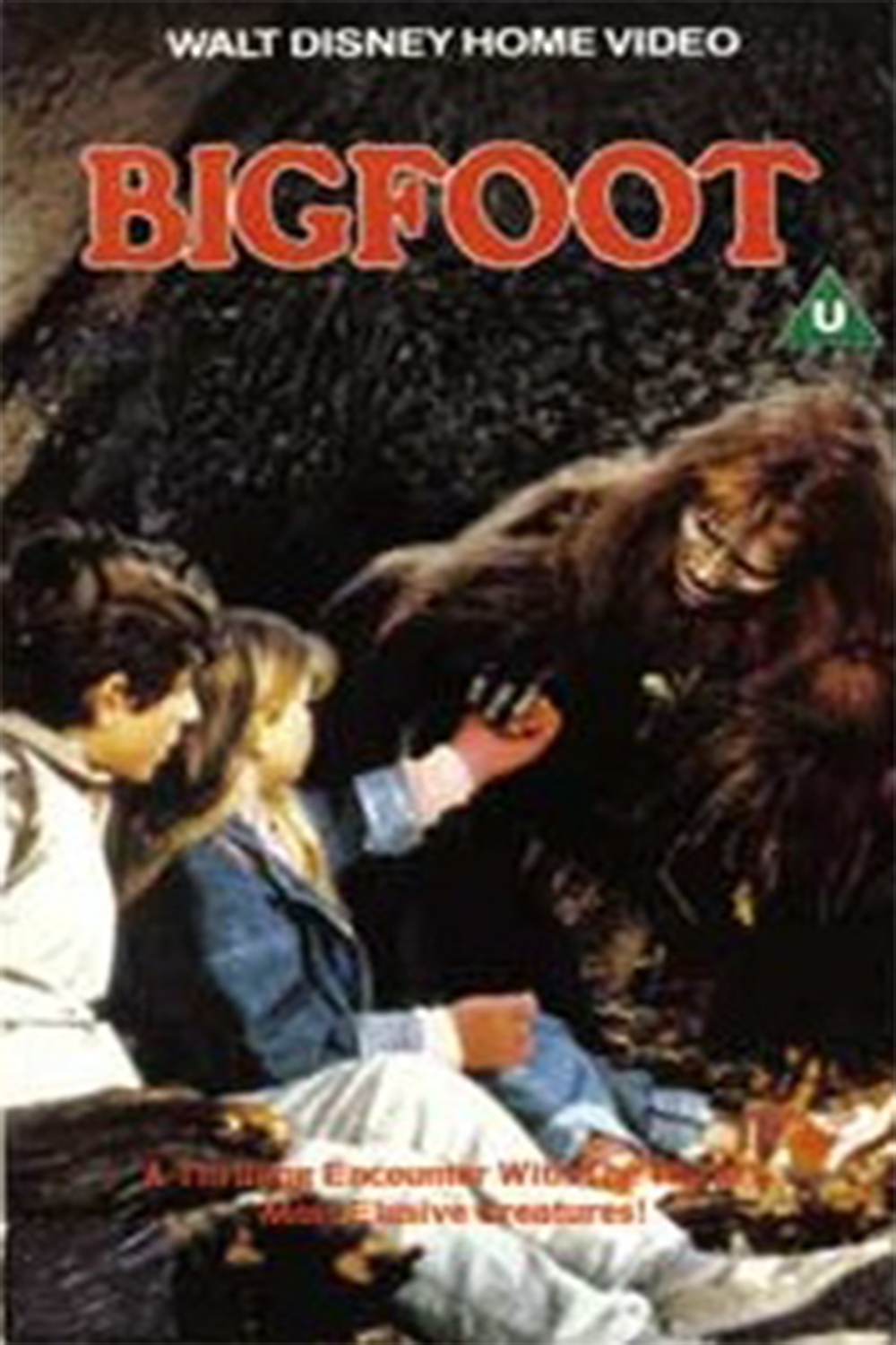 affiche du film Bigfoot (1987)