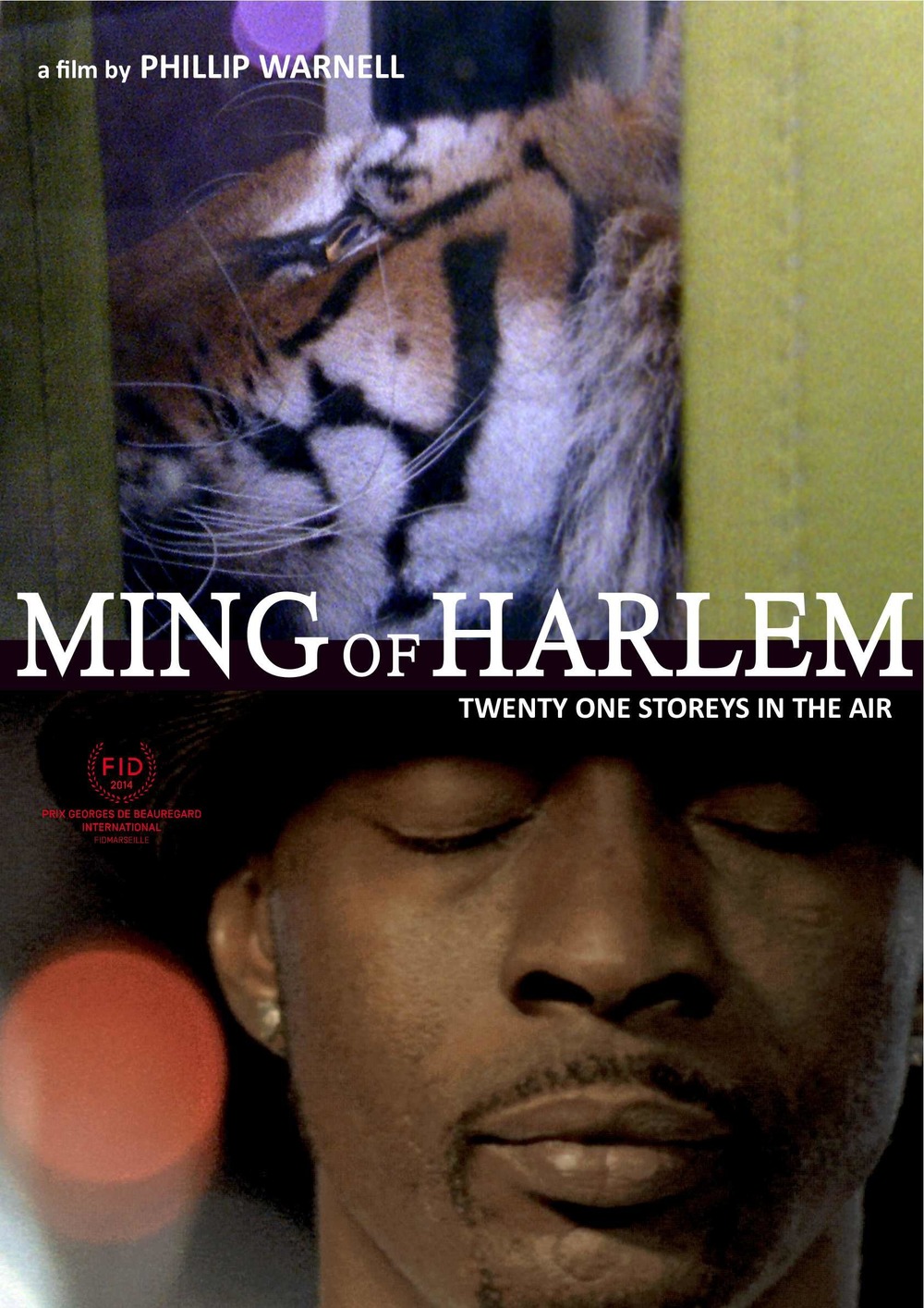 affiche du film Ming of Harlem: Twenty One Storeys in the Air