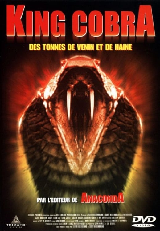 affiche du film King Cobra