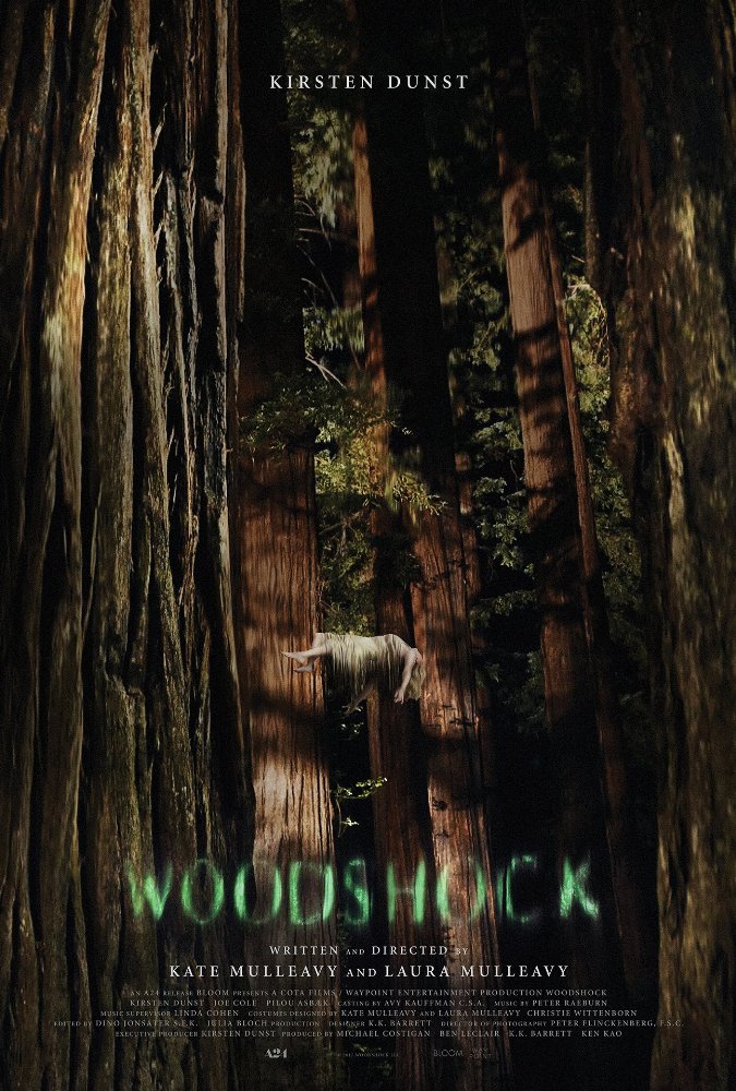 affiche du film Woodshock