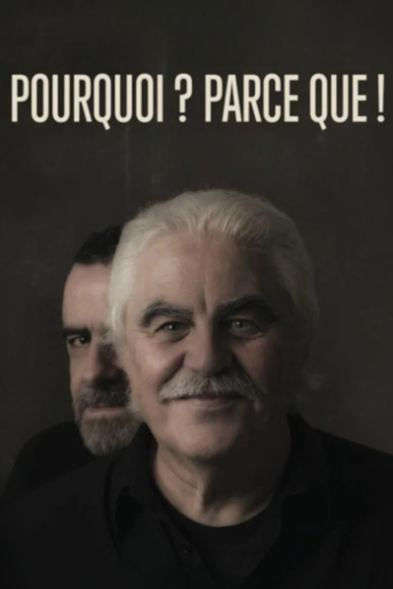 affiche du film Pourquoi ? Parce que !