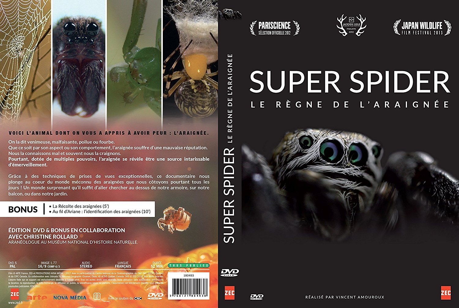 affiche du film Super Spider