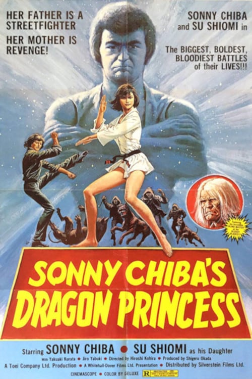 affiche du film Sonny Chiba's Dragon Princess
