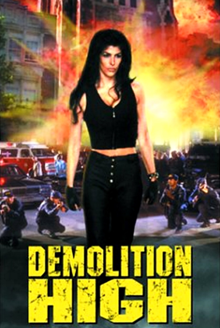 affiche du film Demolition High