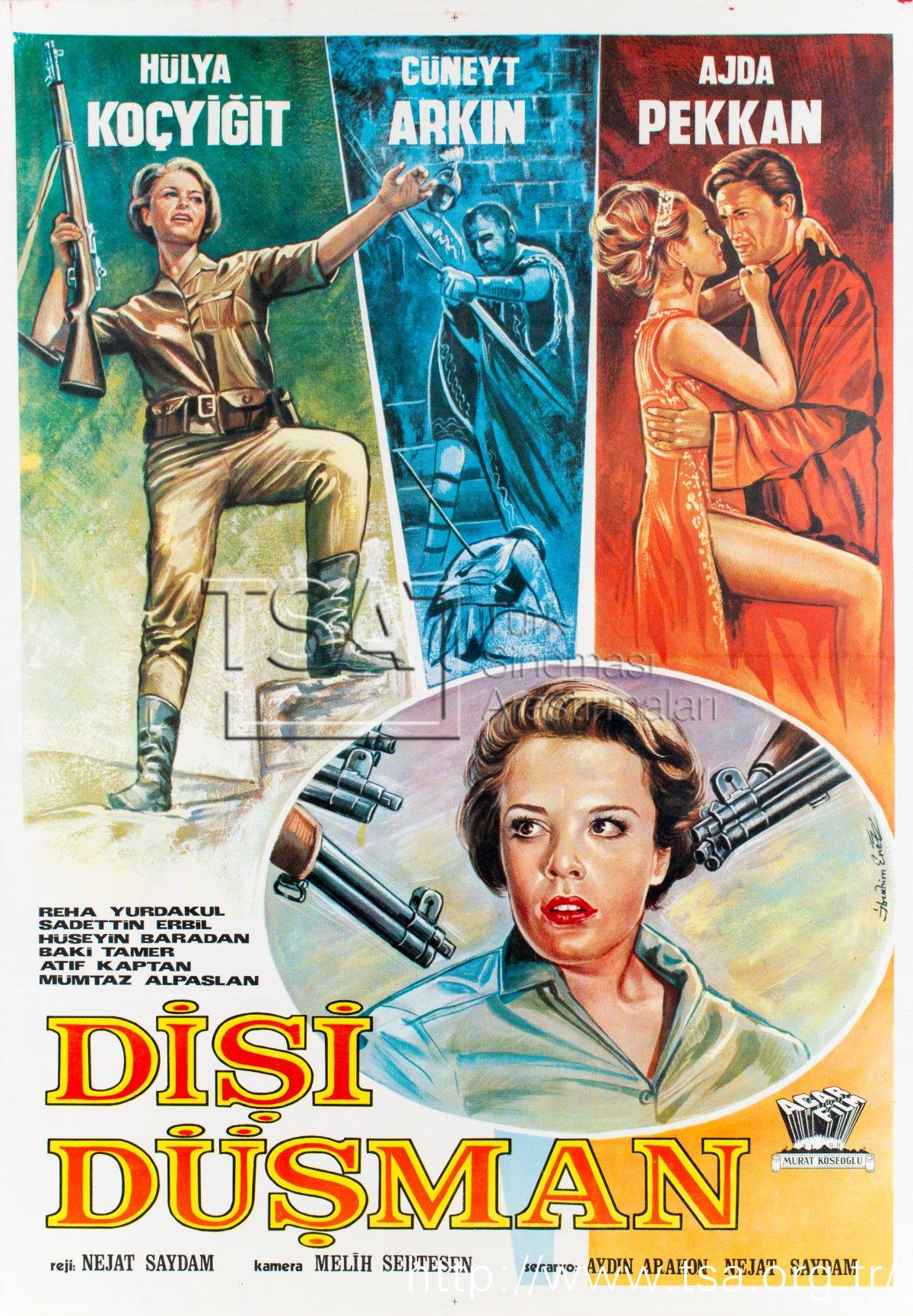 affiche du film Disi düsman