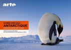 Expédition Antarctica: Sur les traces du manchot empereur