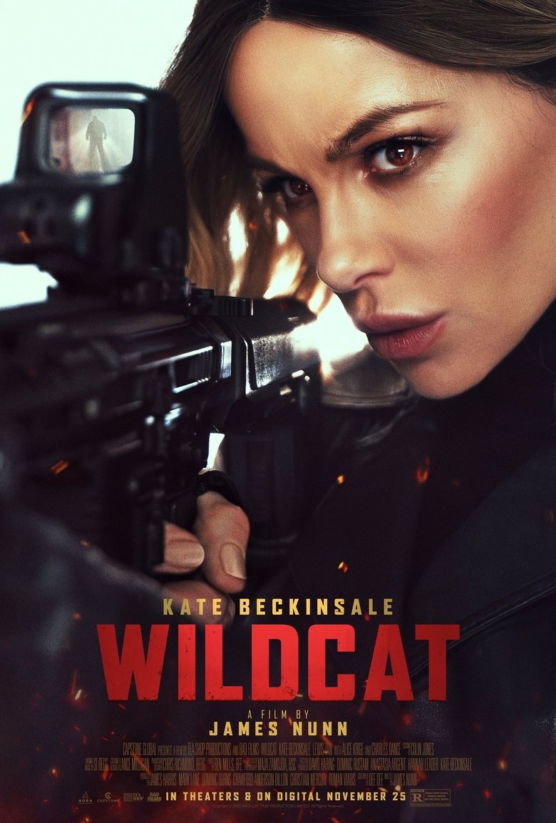 affiche du film Wildcat
