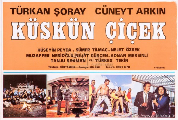 affiche du film Küskün çiçek