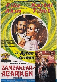 affiche du film Zambaklar Açarken