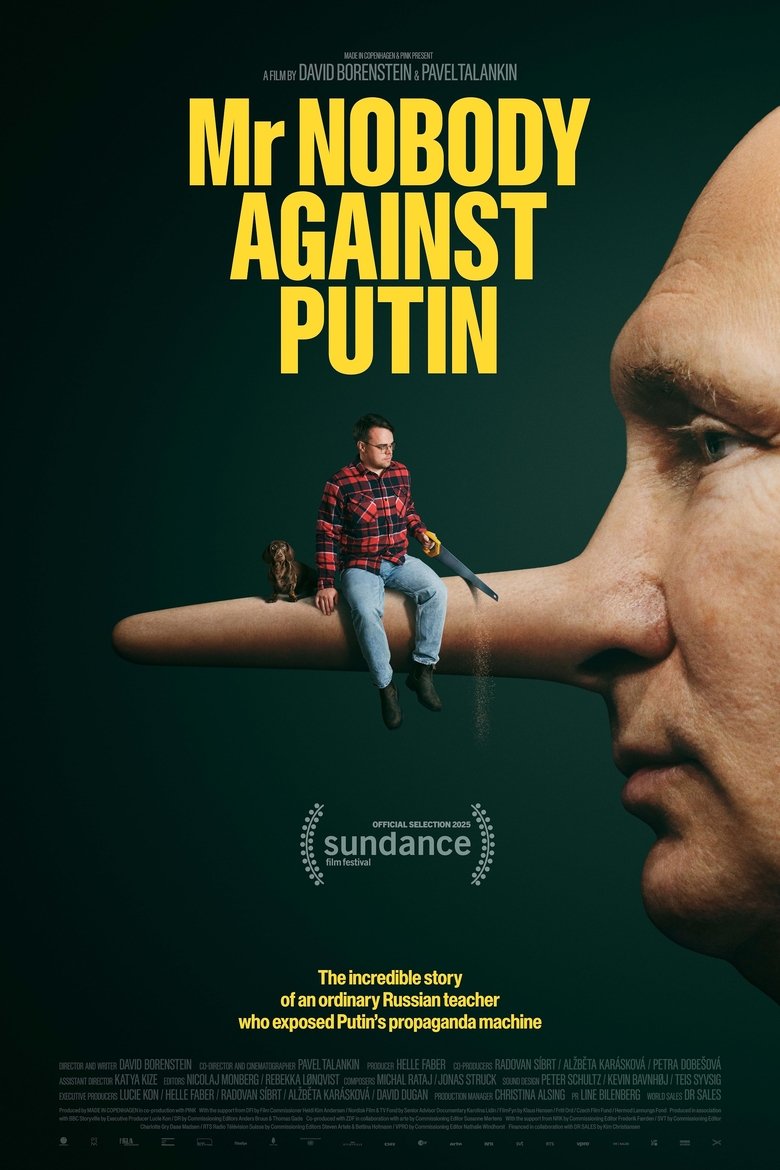 affiche du film Mr. Nobody Against Putin