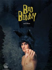 affiche du film Mauvais Lapin