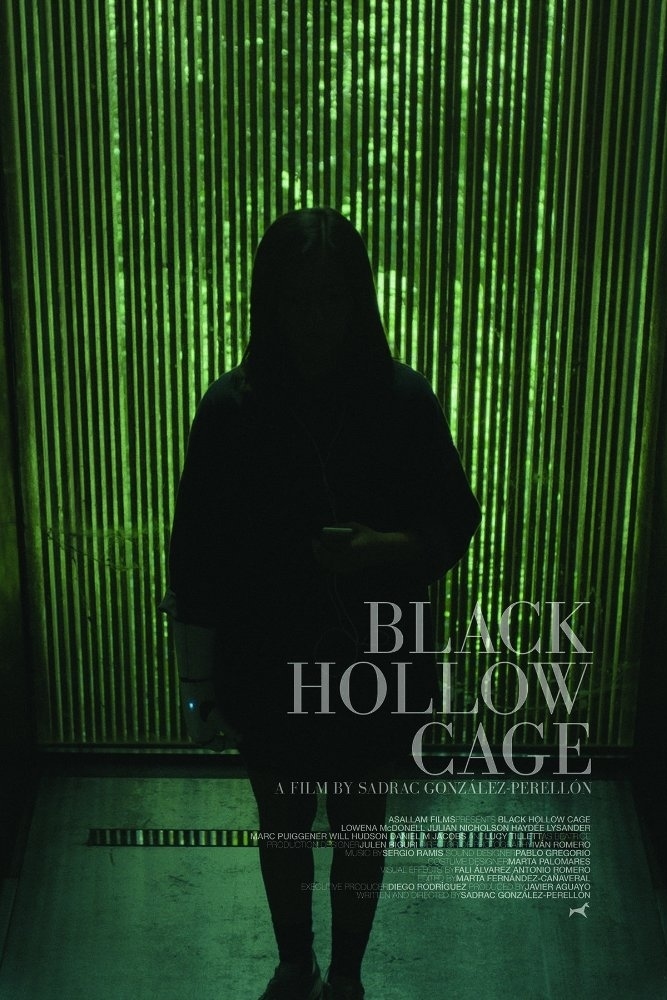 affiche du film Black Hollow Cage
