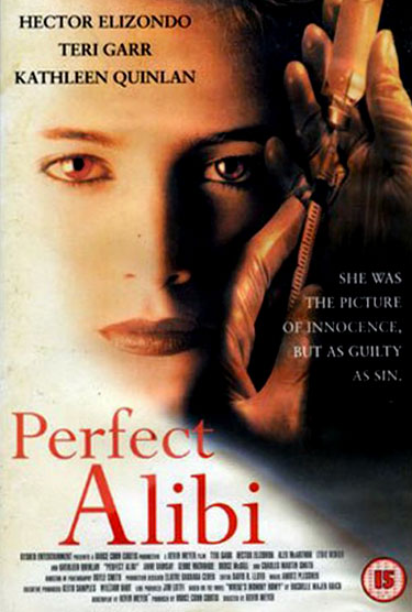 affiche du film Un alibi parfait