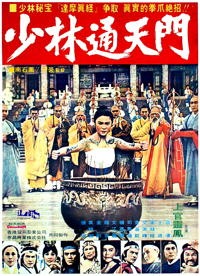 affiche du film Fight For Shaolin Tamo Mystique