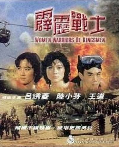 affiche du film Commando Warrior