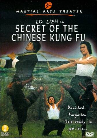 affiche du film Secret of the Chinese Kung Fu