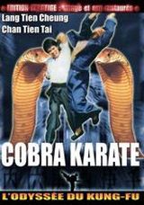 affiche du film Cobra Karaté