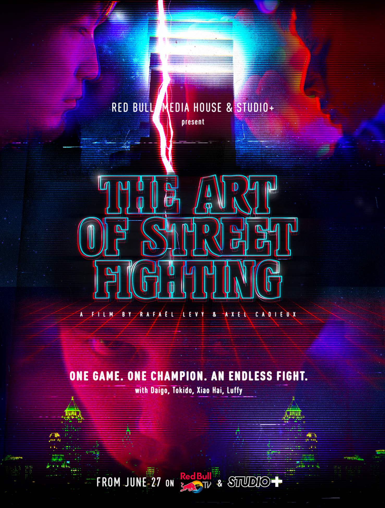 affiche du film The Art of Street Fighting