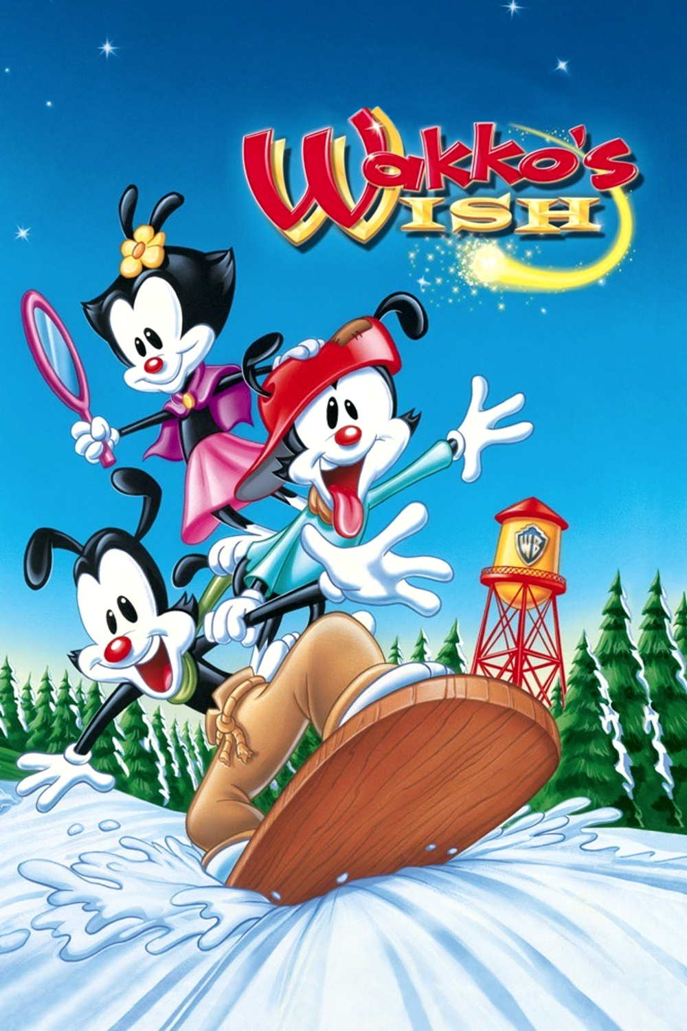 affiche du film Wakko et l'étoile magique