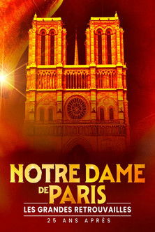 affiche du film Notre-Dame de Paris - les grandes retrouvailles 25 ans après