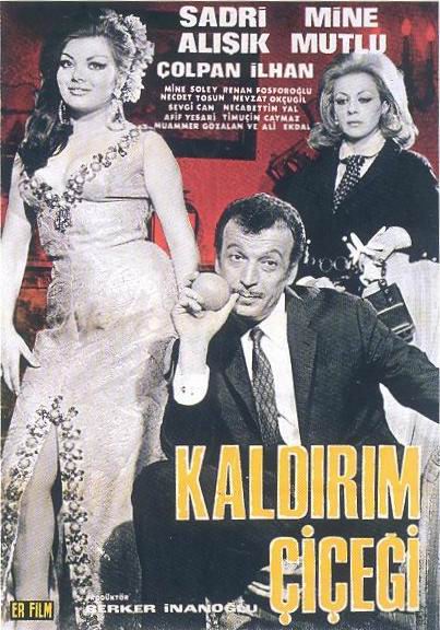 affiche du film Kaldirim çiçegi