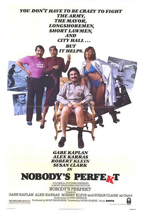 affiche du film Nobody's Perfekt