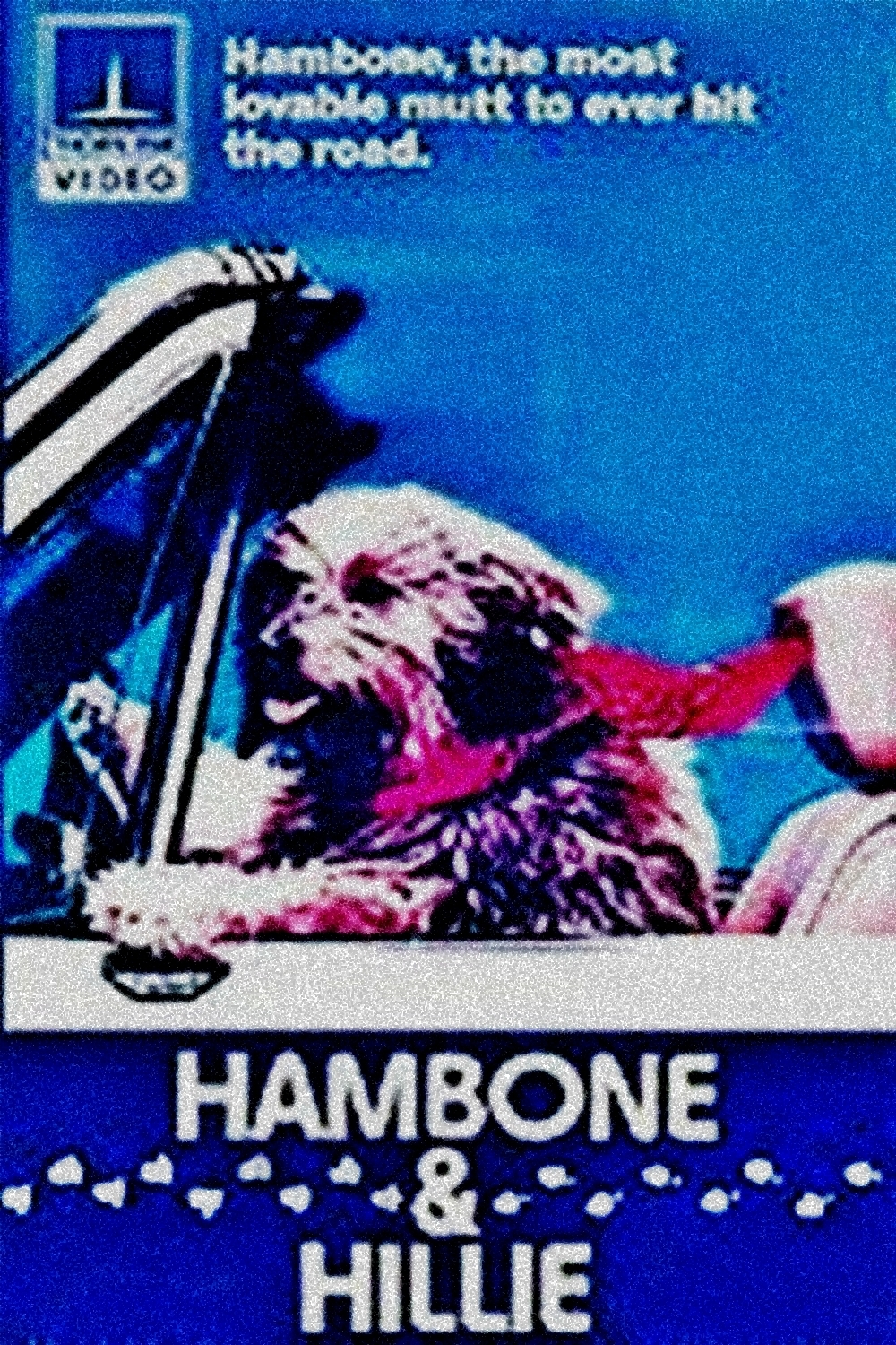 affiche du film Hambone and Hillie
