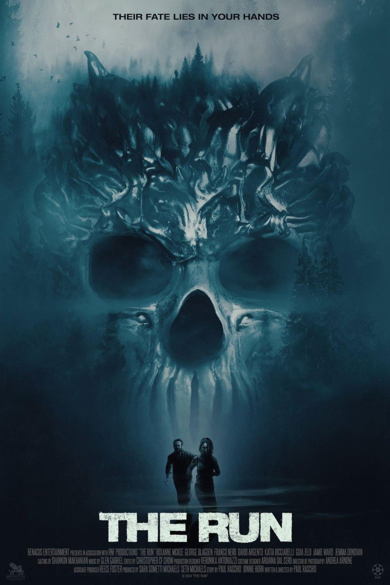 affiche du film The Run