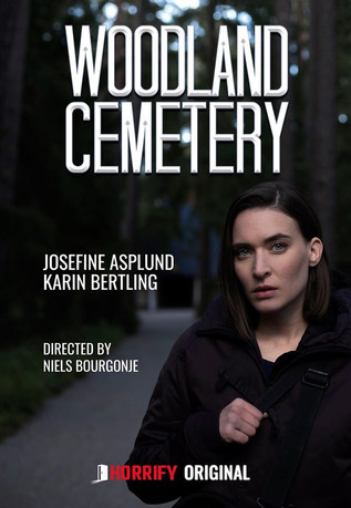 affiche du film Woodland Cemetery
