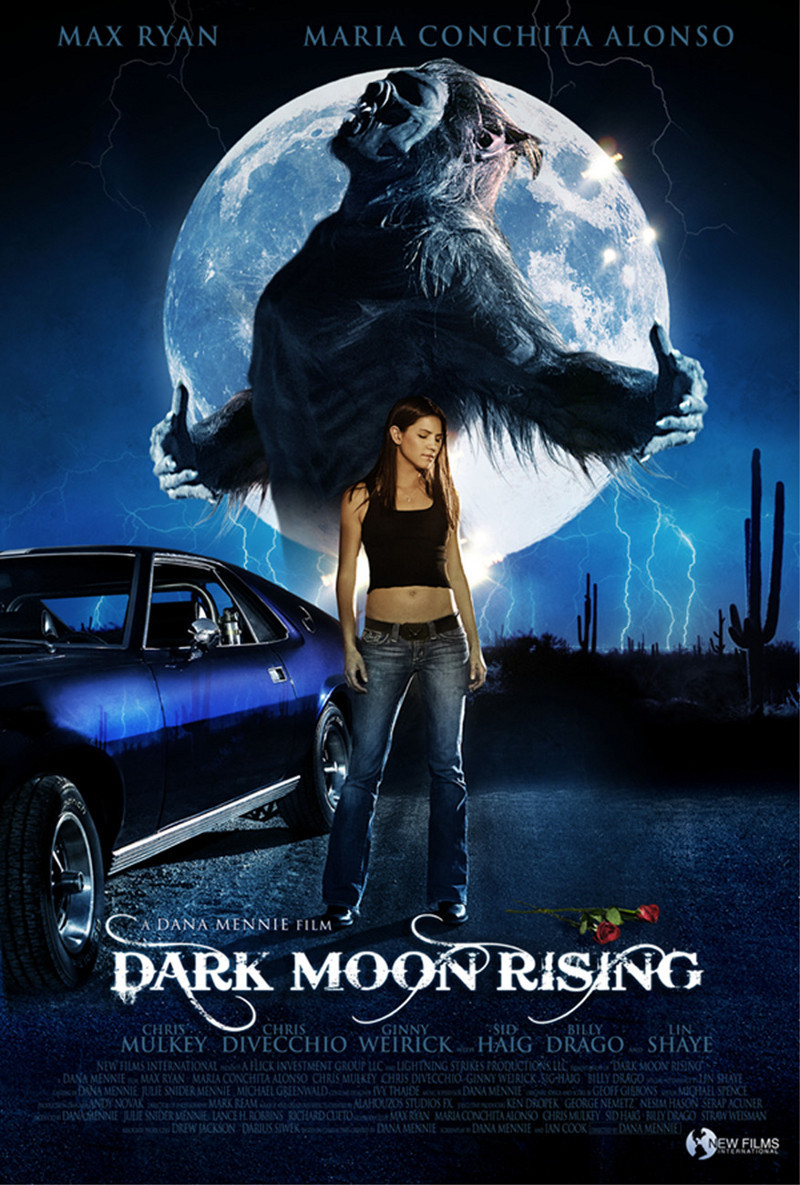 affiche du film Dark Moon Rising