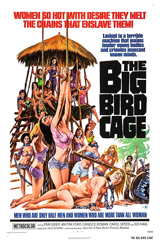 affiche du film The Big Bird Cage
