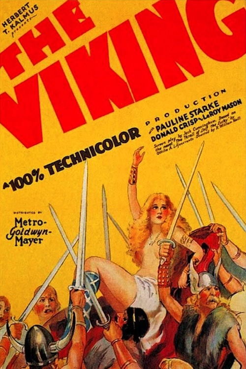 affiche du film The Viking