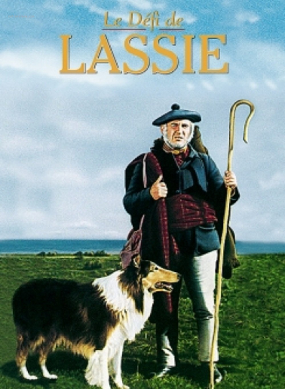 affiche du film Le Défi de Lassie