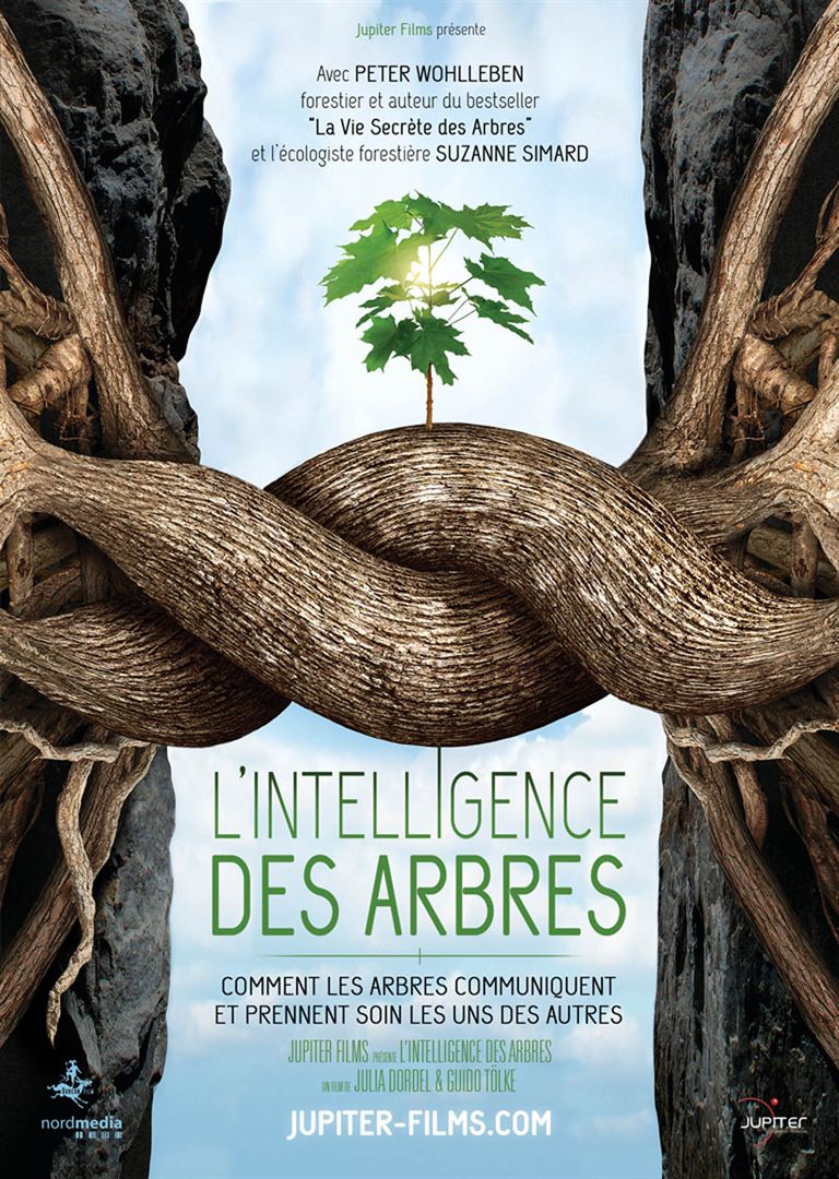 affiche du film L'Intelligence des Arbres