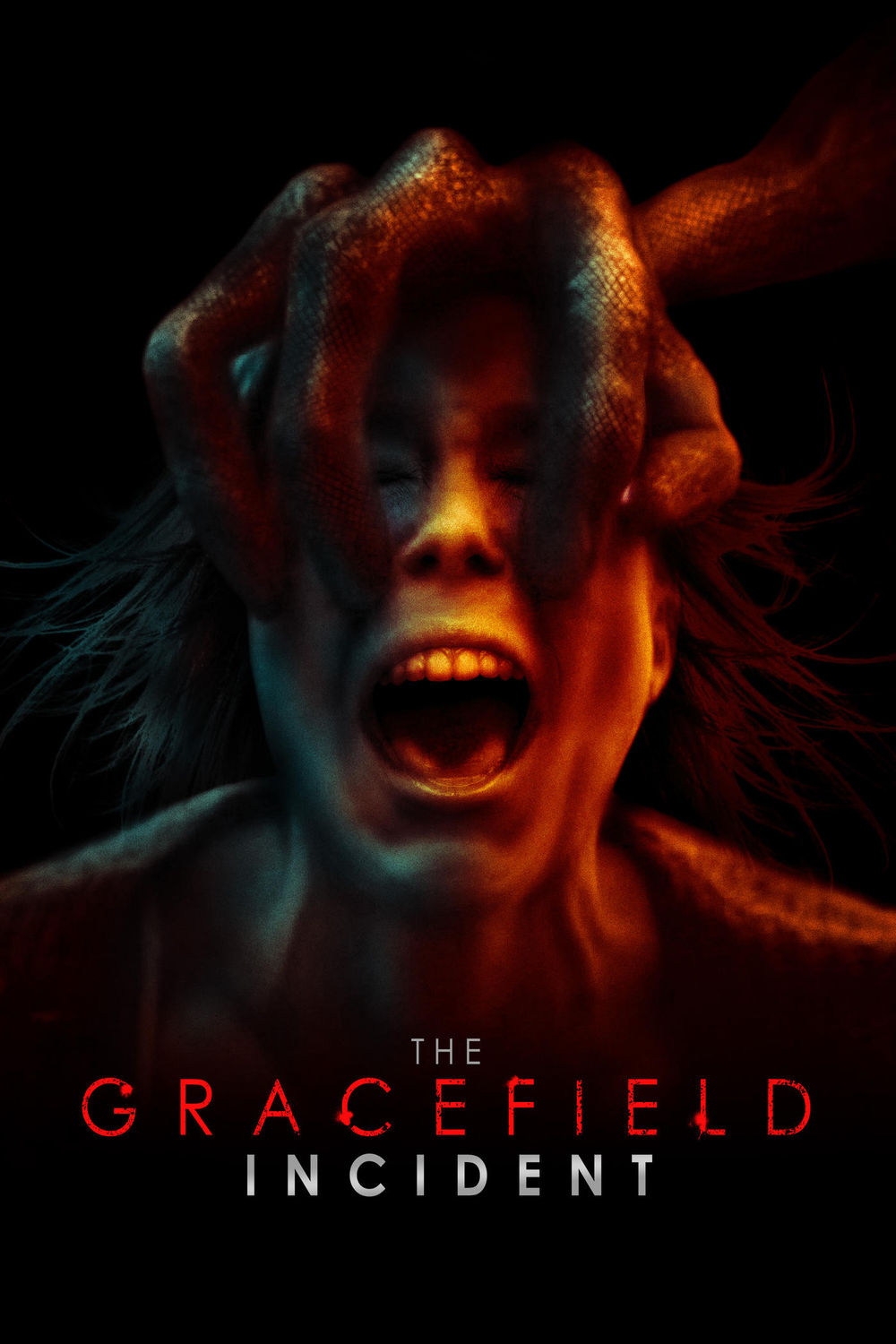 affiche du film The Gracefield Incident