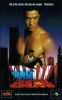 Vanishing Son