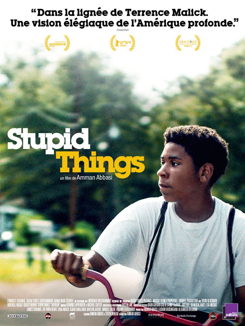 affiche du film Stupid Things