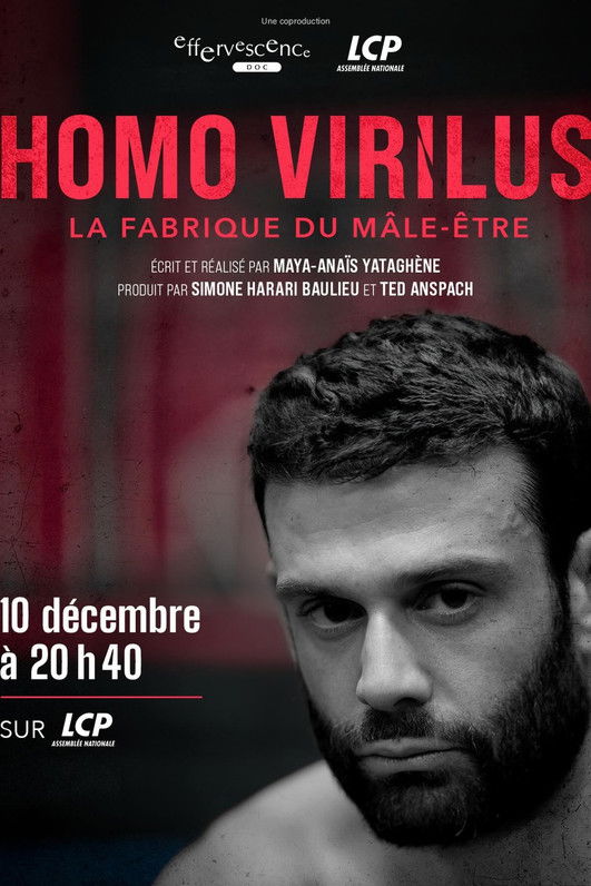 affiche du film Homo virilus : la fabrique du mâle-être
