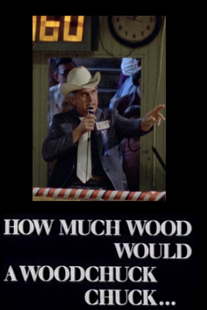 affiche du film How Much Wood Would a Woodchuck Chuck