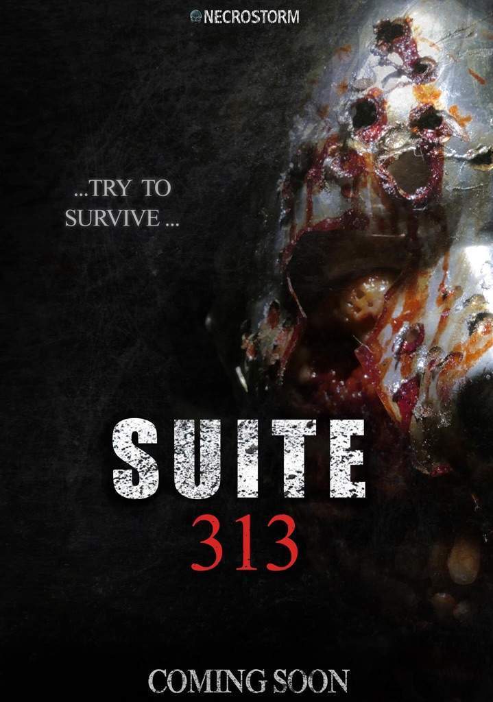 affiche du film Suite 313