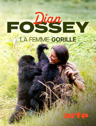affiche du film Dian Fossey, la femme-gorille