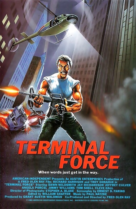 affiche du film Terminal Force