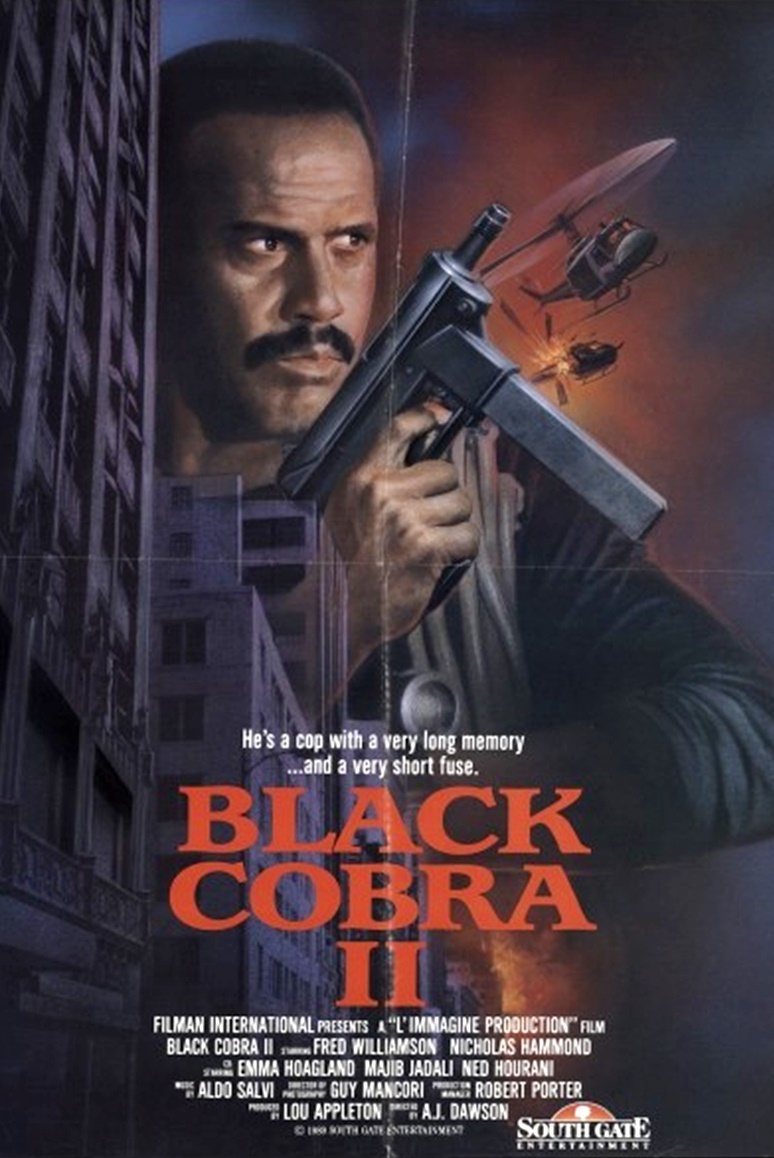 affiche du film The Black Cobra 2