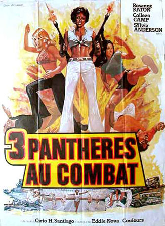 affiche du film 3 panthères au combat