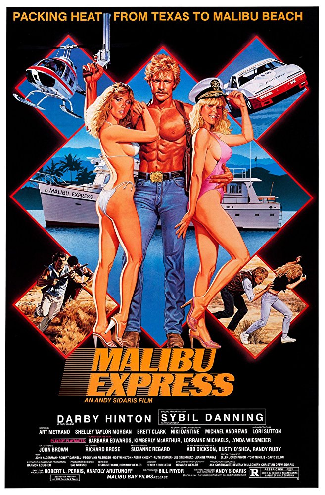 affiche du film Malibu Express