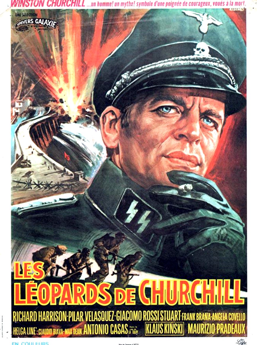 affiche du film Les léopards de Churchill