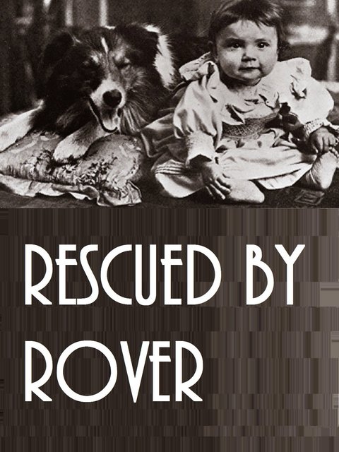 affiche du film Rescued by Rover
