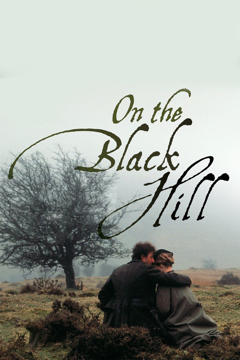 affiche du film On the Black Hill