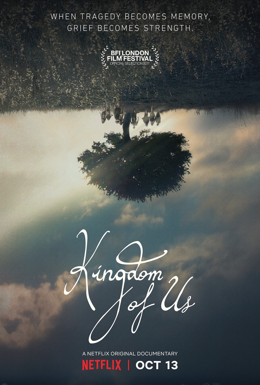 affiche du film Kingdom of Us